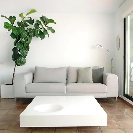 Casa Luna